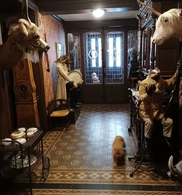 Visite de la Licorne et de son cabinet de curiosité