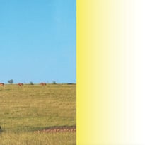 Une semaine pour être à l’écoute du territoire