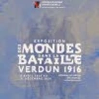Des mondes dans la bataille : Verdun 1916