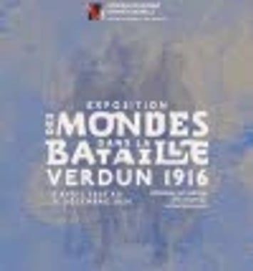 Des mondes dans la bataille : Verdun 1916