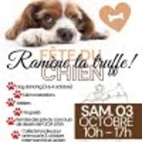 Ramène ta truffe