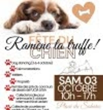 Ramène ta truffe